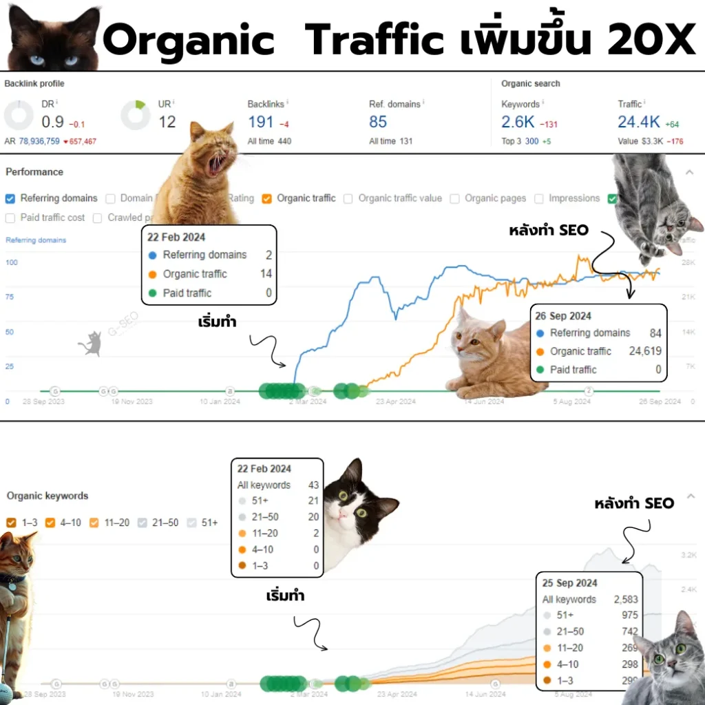 Organic Traffic